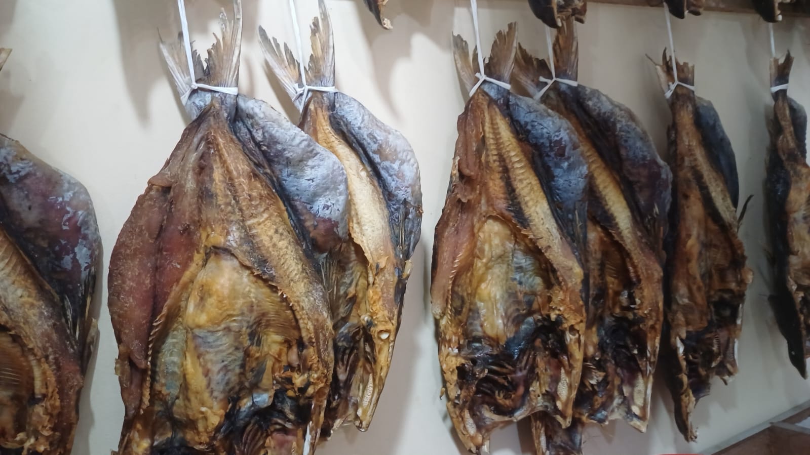 সামুদ্রিক রিটা শুটকি 1 Kg